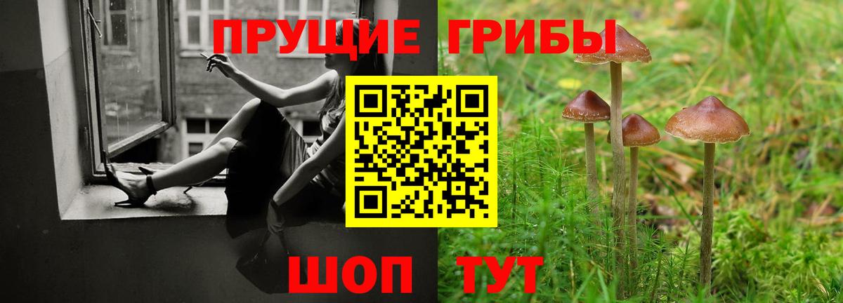 Галлюциногенные грибы Psilocybine cubensis Гуково